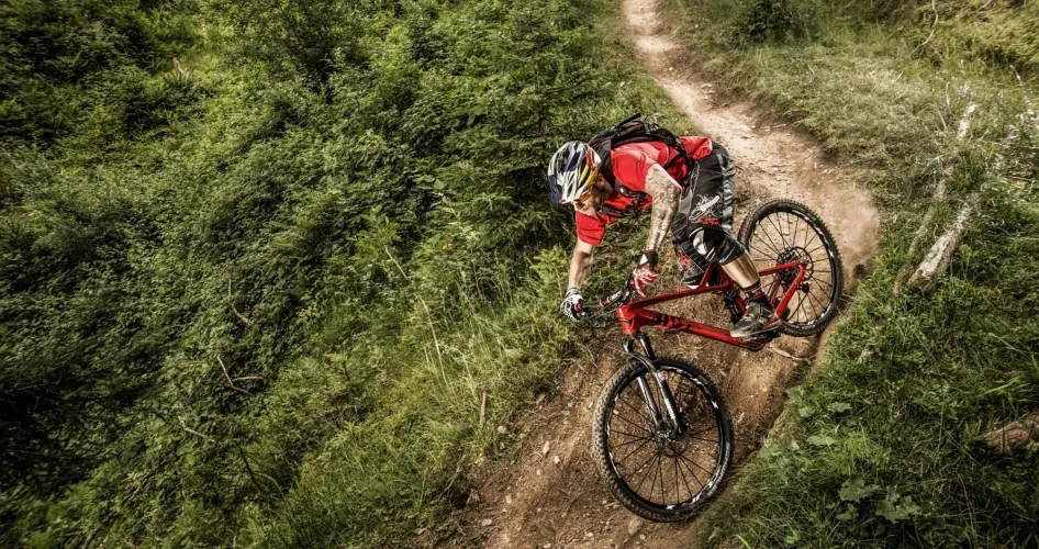 Single-Trail-am-Harschbichl Single-Trail-am-Harschbichl